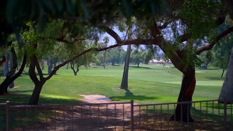Trees in front of a green golf course Stock Footage 93260244