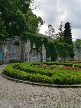 A trees in front of a house Stock Photos