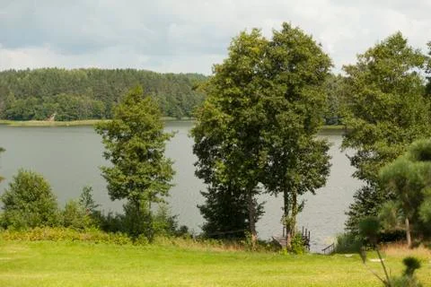 Trees in front of the lake Stock Photos
