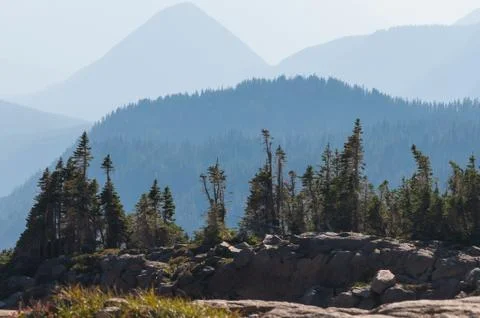 Trees in front of mountain perspective Stock Photos