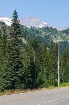 Trees in front of mountain Stock Photos