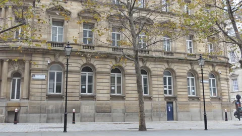 Trees in front of an old building in autumn. Stock Footage 116312875