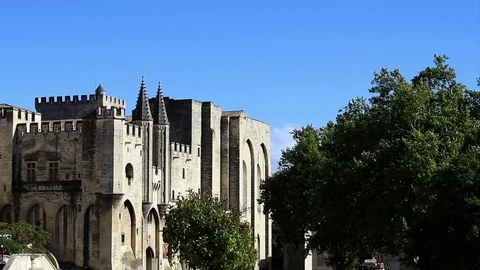 Trees in front of the palace of the popes with blue sky Stock Footage 82892445