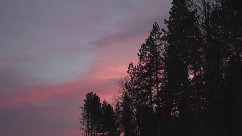 Trees in front of a sunset Stock Footage 147551933