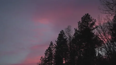 Trees in front of a sunset Stock Footage 147552304