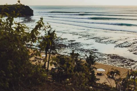 A trees in front of a surf spot Stock Photos