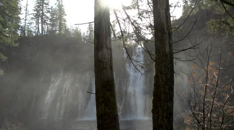Trees in front of Waterfall Stock Footage 32936709