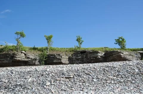 Trees at the frontline of cliffs by a coast with pebbles Stock Photos