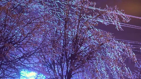 Trees in an Frozen rain Stock Footage 70232039