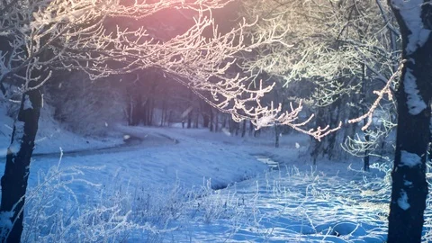 Trees full of hoarfrost on sunrise Stock Footage 97938210