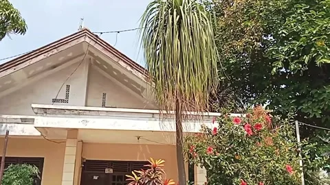 Trees in the garden Stock Footage 242748287