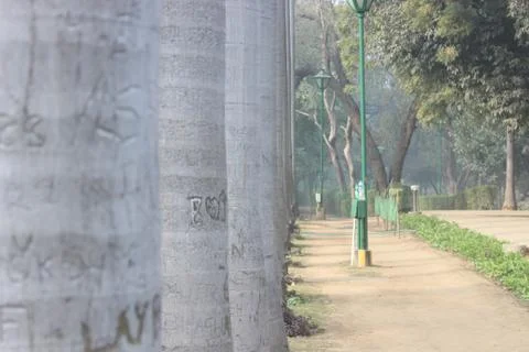 Trees in garden Stock Photos