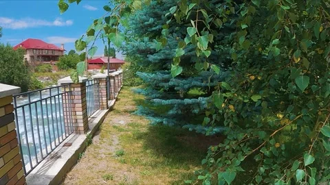 Trees in the garden by the river Vídeo Stock 246427294