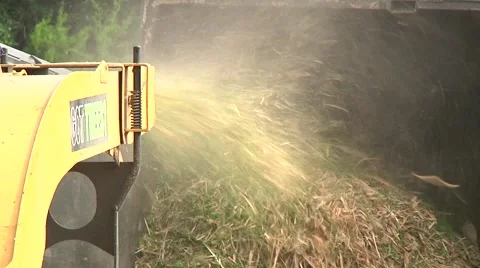 Trees getting cut Stock Footage 68707974