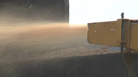 Trees getting cut Stock Footage 68708091