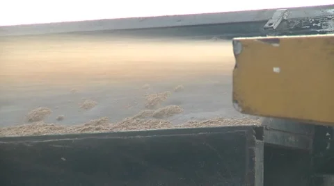 Trees getting cut Stock Footage 68708342