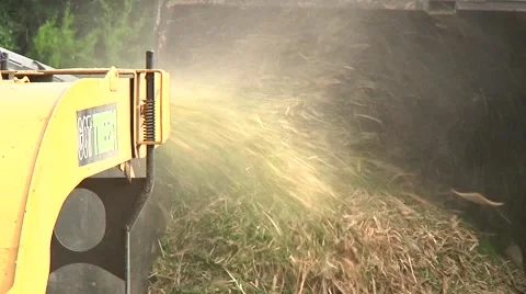 Trees getting cut Stock Footage 68708343