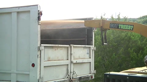 Trees getting cut Stock Footage 68708403