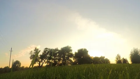 Trees on a glade in a park at sunset timelapse Stock Footage 82986089