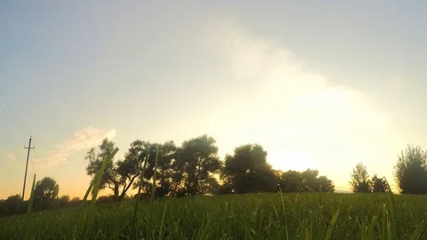 Trees on glade in a park at sunset timelapse Stockbeeldmateriaal 82986276