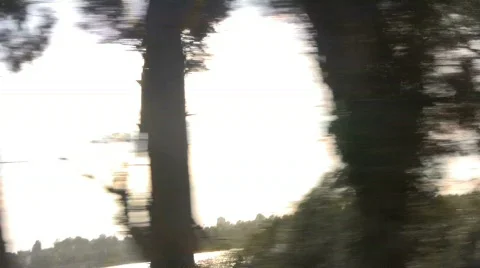 Trees go Rushing by Stock Footage 486845