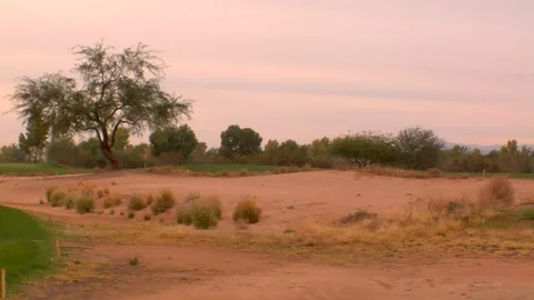 Trees golf course sand dunes bunkers dusk Stock Footage 125277966
