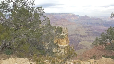 Trees in Grand Canyon Stock Footage 87072506