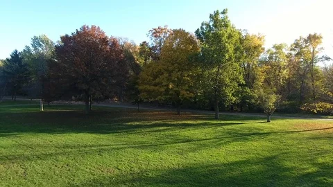 Trees grass park Stock Footage 69880381