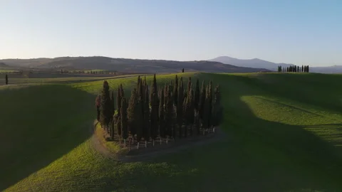 Trees on grassy hill under vast sky in natural landscape Stock Footage 269033747