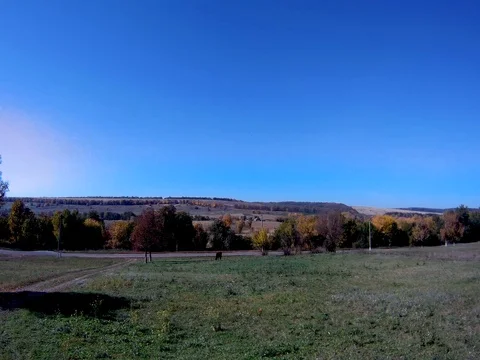 Trees green grass Stock Footage 96450723