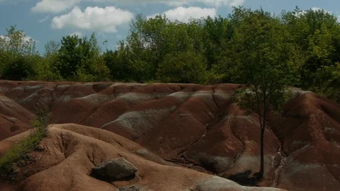 Trees grow above the sparse Badlands Stock Footage 92625962