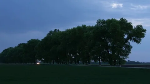 Trees growing along the road. The car drives by the road in the evening. Stock Footage 77227764