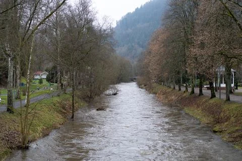 Trees growing alongside old river Stock Photos