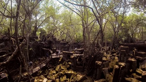 Trees Growing at Angkor Wat Temple Siem Reap Video stock 74193175