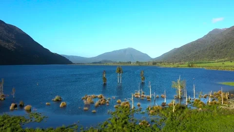 Trees Growing in Blue Lake Surounded by Native Bush Hills Arial Stock Footage 296718604