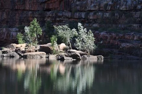 Trees growing on fallen rocks in a river Stock Photos
