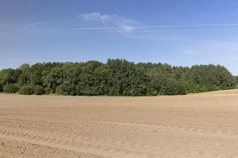 Trees growing in the forest in spring next to the field on which the soil w.. Stock Photos