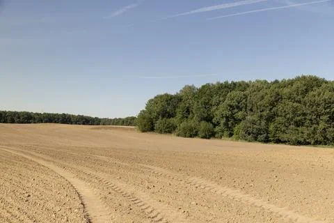 Trees growing in the forest in spring next to the field on which the soil w.. Stock Photos