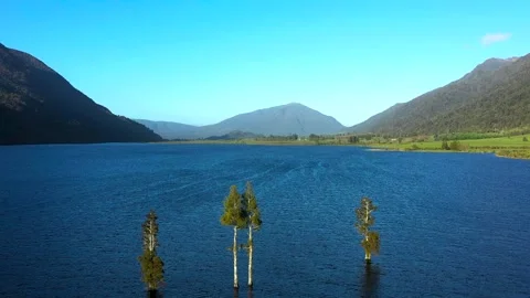 Trees Growing in Lake Surounded by Native Bush Hills Arial Stock Footage 296718798