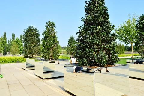 Trees growing in mirror vases Stock Photos