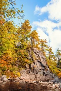 Trees growing on rocks above stream Stock Photos