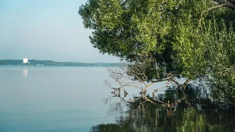 Trees growing on the shore of a large, blue lake Stock Photos