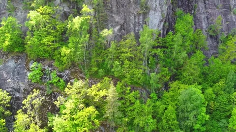 Trees Growing on Steep Cliff of Mountain, Rising Shot -  Grovane, Norway Aerial Stock Footage 258289966