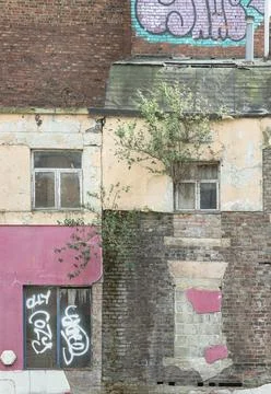 Trees growing through on brick wall and wooden window frames with Graffiti .. Stockfoto's