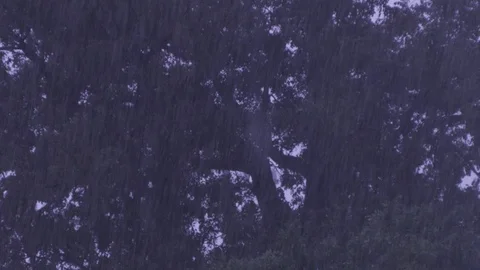 Trees in heavy rain 1 Stock Footage 92218700