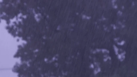 Trees in heavy rain closer Stock Footage 92218739