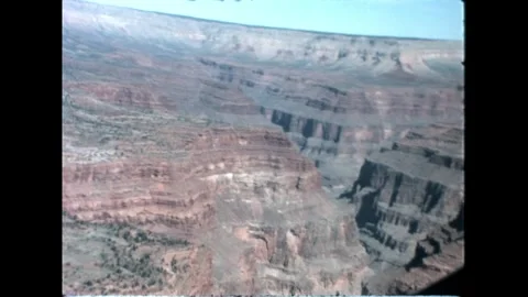 Trees from Helicopter Stock Footage 276291444