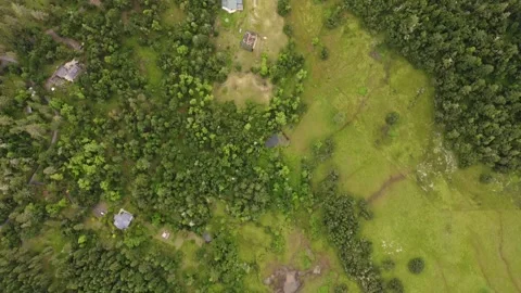 Trees from high above Video stock 199906648