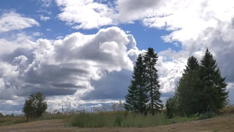 Trees on a hill in the background of clouds Stock Footage 81014570