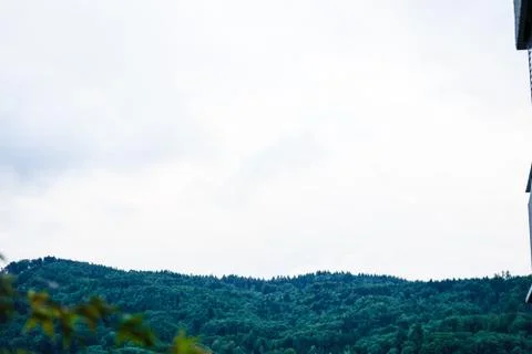 Trees on hill with clouds Stock Photos